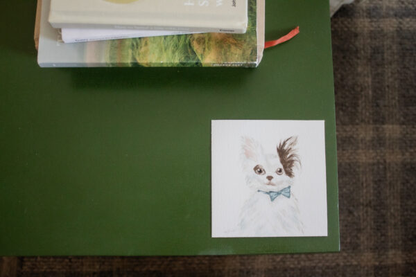 Custom Pet Portrait - 5x5