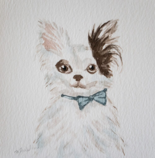 Custom Pet Portrait - 5x5